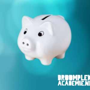 Audio & Video 10 Financiële Succeswetten onthuld